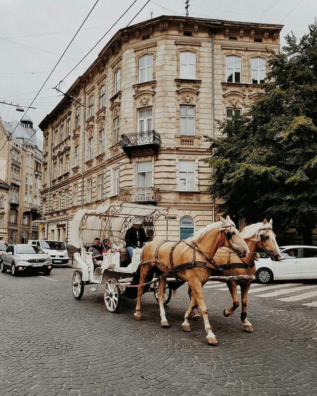 Staroevreyskaapart Lviv Luaran gambar